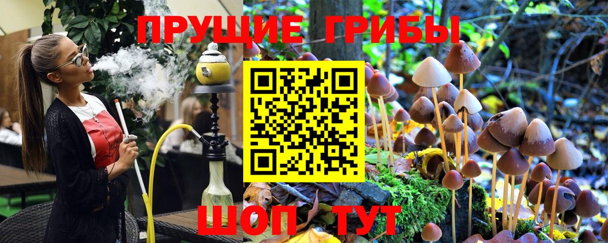 Галлюциногенные грибы Psilocybine cubensis  Вход с VPN  Мариинск  Галлюциногенные грибы Psilocybine cubensis 
